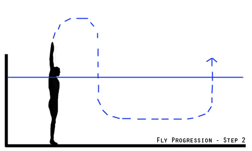fly progression - step 2