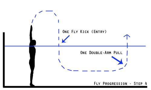 fly progression - step 4