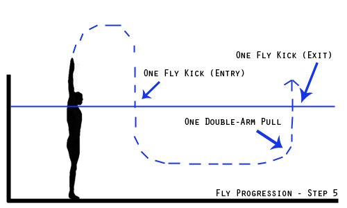 fly progression - step 5