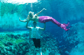 Featured Picture