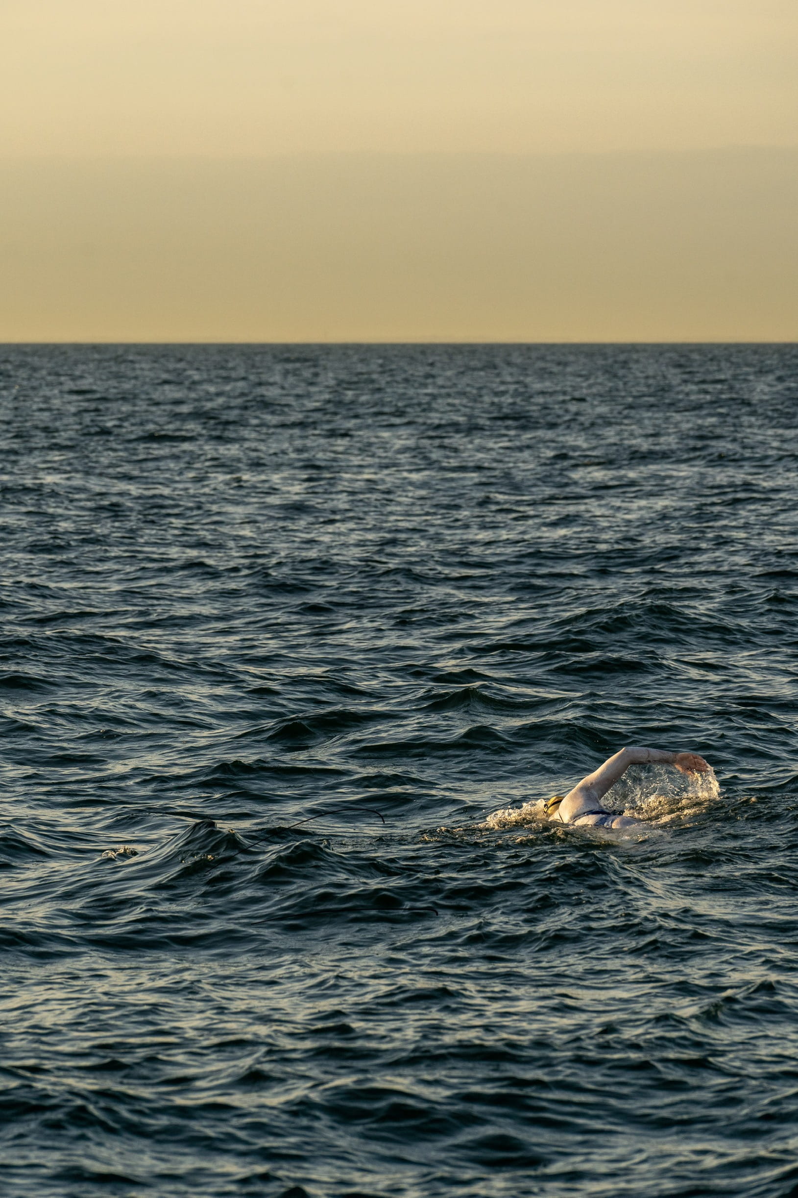 Sarah Thomas Completes Historic Four-Way English Channel Swim