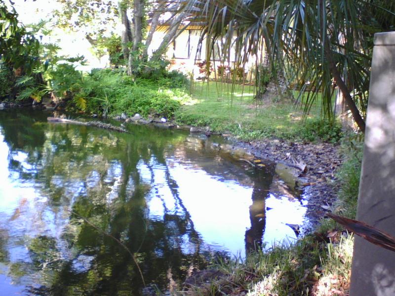 Pond next to building