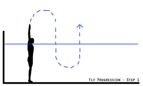 fly progression - step 1