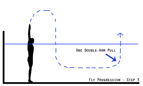 fly progression - step 3